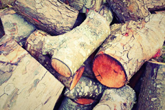 Kidnal wood burning boiler costs